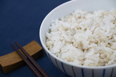 もち麦　※画像はイメージです