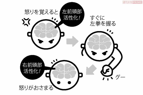 コロナの不安は「興奮」に置き換える、専門家が解説するストレスに打ち克つ武器(4ページ目) | 週刊女性PRIME