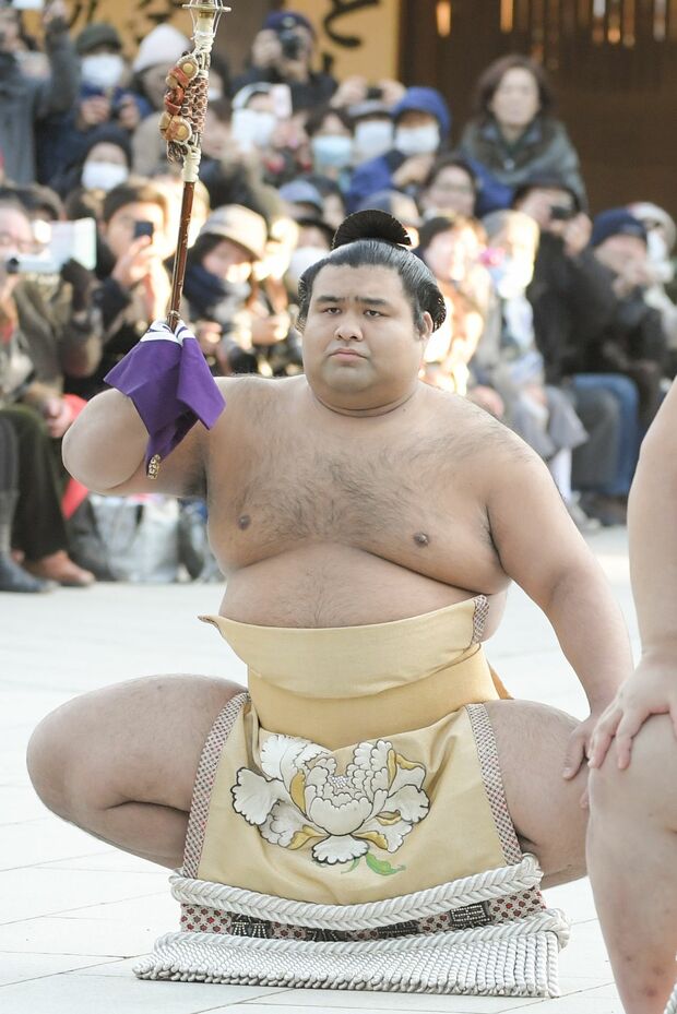 角界のクマちゃん、キュートな高安