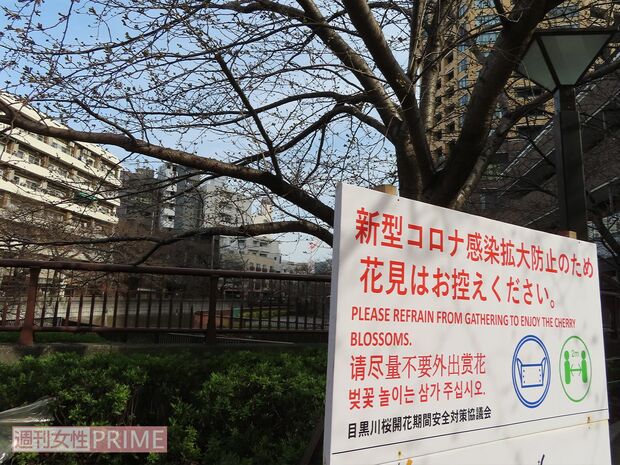 目黒川では「花見はお控えください」と明確なメッセージ