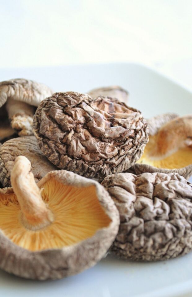 ※画像はイメージです