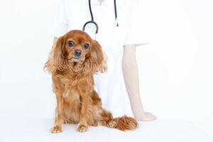 ※画像はイメージです