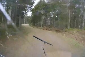 逃げ去る軽トラック。ヒグマの体当たりでフロントガラスは割れていた（Xより）