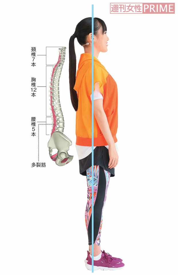 きれいなSの字が描かれたとき、耳、肩、くるぶしは一直線になっている