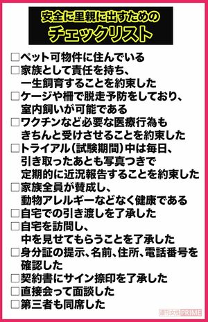 安全に里親に出すためのチェックリスト