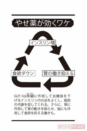 やせ薬が効くワケ