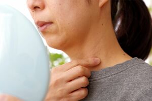 ※写真はイメージです