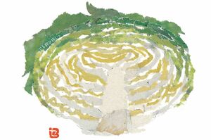 【キャベツ】輪切りです。細かい曲線のちぎりが暇（手間）取って、貼るのも大変やったけど、できあがったときは、うれしかったな。　撮影／佐伯慎亮