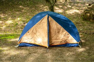 写真はイメージです