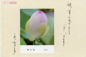 '13年に美智子さまから届いた年賀状には「舞妃蓮」の写真が