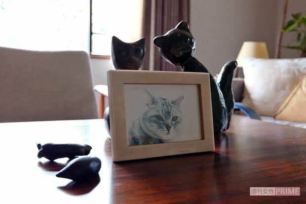 撮影／朝井まかてさん