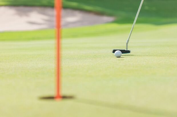 写真はイメージです