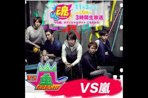 クライミングなど迫力のあるアトラクションが好評だった(『VS嵐』公式HPより)