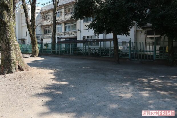 神谷公園内のハト4羽が死んでいた場所