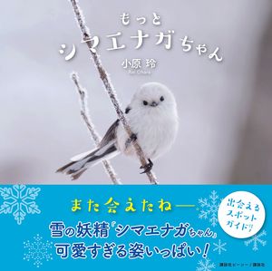 天使すぎる鳥 雪の妖精 と話題沸騰中 シマエナガちゃんを知っていますか ニュース概要 週刊女性prime