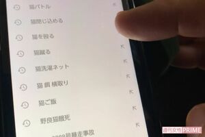 容疑者のスマートフォンのユーチューブの検索履歴。猫の虐待に関するものばかり（しっぽのこころ提供）