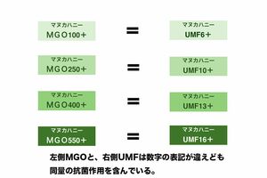 左側MGOと、右側UMFは数字の表記が違えども同量の抗菌作用を含んでいる。(資料提供:日本はちみつマイスター協会)
