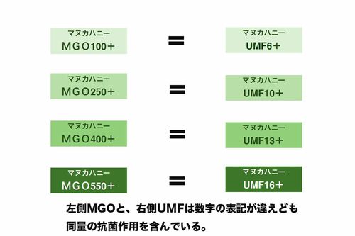 大地真央に藤原紀香、ジョコビッチも愛用する『マヌカハニー』知られ