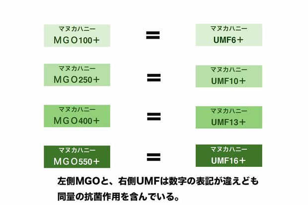 左側MGOと、右側UMFは数字の表記が違えども同量の抗菌作用を含んでいる。（資料提供：日本はちみつマイスター協会）