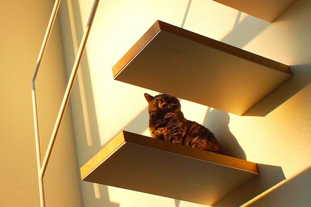 写真提供／木津イチロウさん