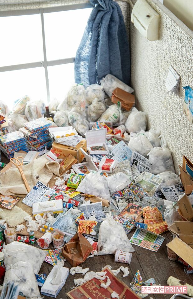 エアコンにはゴキブリも。部屋で見かけた虫なども再現