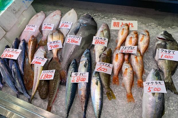 道の駅氷見【富山】の朝獲れブリ（写真提供／浅井佑一）