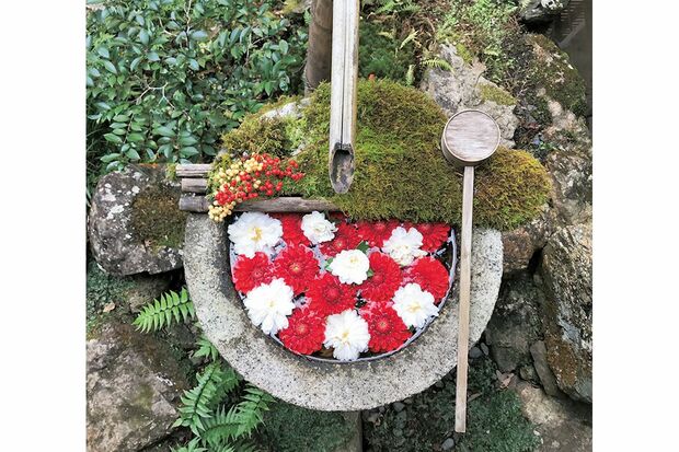 昨年のゴールデンウイーク期間に。「ウチは歴代天皇も祈りを捧げたご利益寺でもあるんです。天皇陛下のご即位をお祝いし、紅白のダリアで作りました」