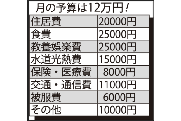 月の予算は12万円!