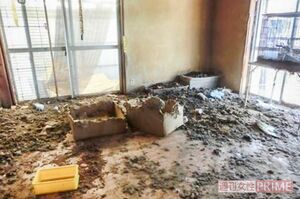 2017年の強制執行時の深谷市の自宅。室内には砂をまき、排泄をさせていたという。原型をとどめない死骸も発見された。猫は隠れていた1匹だけが保護された（関係者提供）