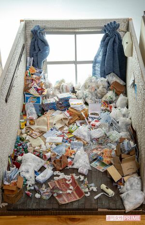 男性（30代）のゴミ屋敷をイメージして作られたミニチュア作品