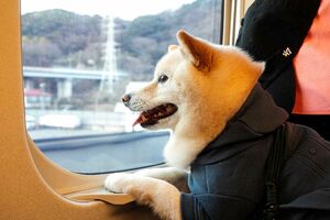 提供/JR東海