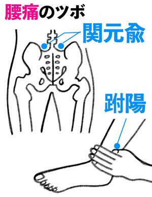 腰痛のツボ2選 イラスト/アサミナオ