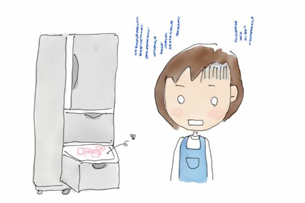 冷蔵庫整理は食品の捨て残しに要注意。虫がわいたことも（ブログより）