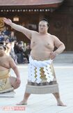 19年ぶり日本出身横綱、稀勢の里。「いばらき大使」も務めるだけに、茨城県庁と東京・銀座にあるアンテナショップ『茨城マルシェ』には等身大パネルを設置中。また母校である龍ケ崎市立長山中学には『稀勢の里資料室』も!