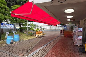 クリスマスイヴなのに貸切状態の館内　写真提供／桂浜水族館