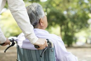 ※画像はイメージです