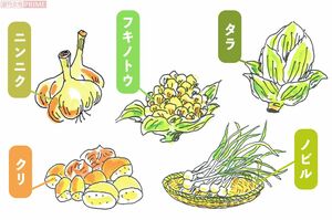 卑弥呼が食べていた野菜たち　イラスト：永山久夫