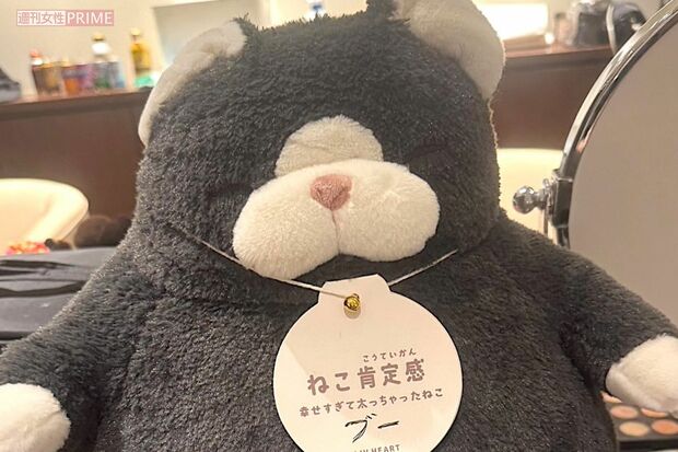 ブーさんの好きな“ねこ肯定感”のぬいぐるみ。タグに「ブー」と手書きが（笑）　撮影／加藤綾菜