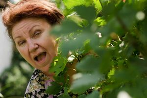 あなたは息子さんの人生にどこまで関わっていますか？