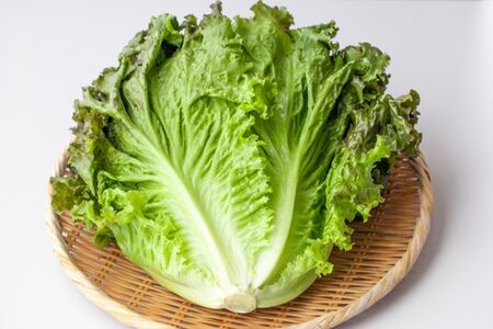 ※写真はイメージです