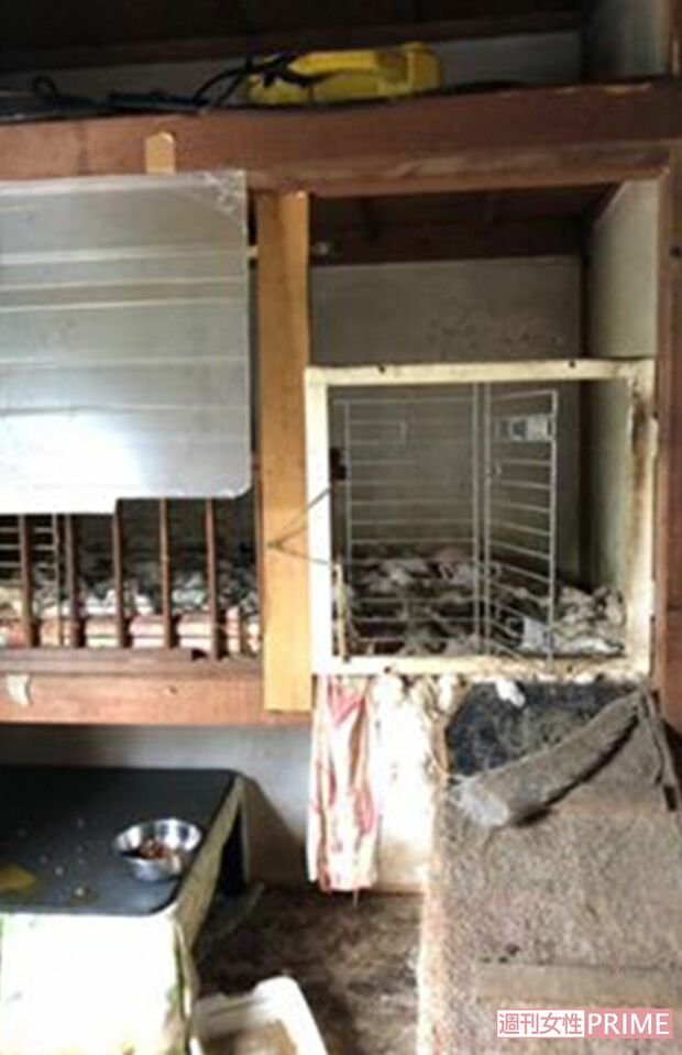 県が調査に入る前の保護施設内。動物たちは工務店と民家だった建物の中で飼育されている。ケージの中はほとんど掃除されていなかった（Ｅｖａ提供）