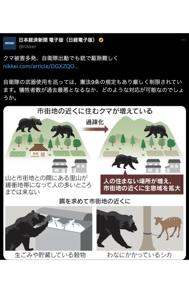 リード文に指摘が相次いだ日本経済新聞（電子版）による投稿