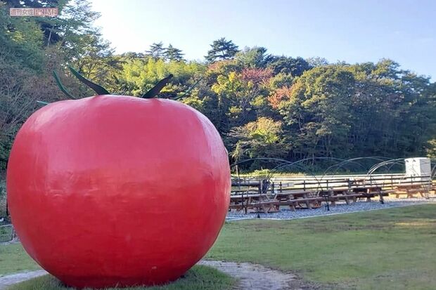 芳根京子の『＜生＞旅』福島県・いわき編で訪問したワンダーファーム　撮影／編集部