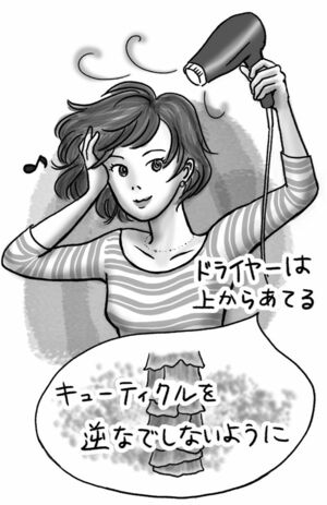 イラスト／もりたりえ