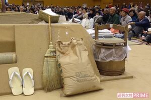 溜まり席の最前列で見た巡業（筆者撮影）