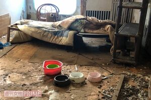 空き家とは別の建物の一角。ここでも猫が死んでいた