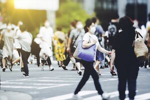 ※写真はイメージです