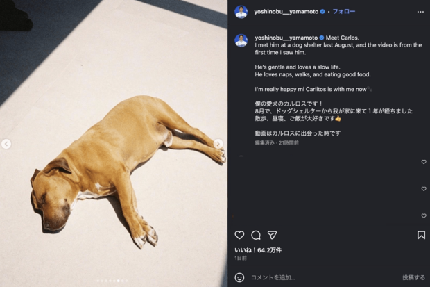 世界がベタ惚れしているドジャース・山本由伸の愛犬カルロス（公式インスラグラムより）