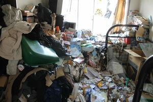 パッと見た感じは「良質なゴミ」が重なっているように見えるが……