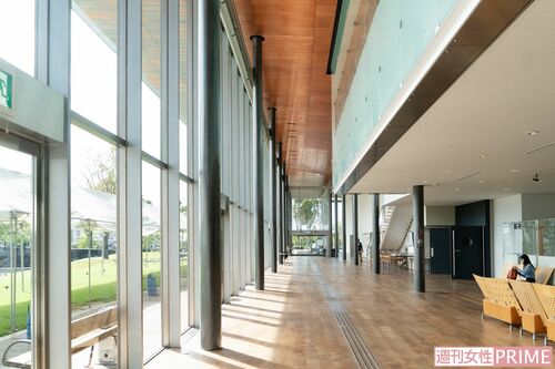 光が差し込む開放的な館内。外には芝生が広がり子どもの遊び場に